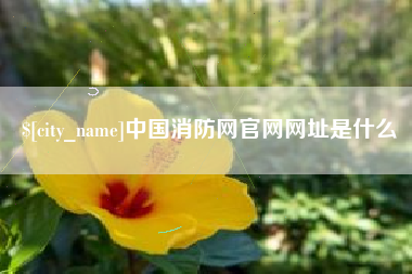 桂阳中国消防网官网网址是什么