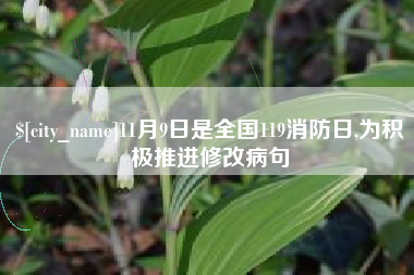 桂阳11月9日是全国119消防日,为积极推进修改病句
