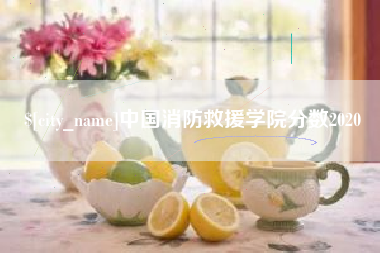 桂阳中国消防救援学院分数2020
