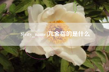 桂阳九金指的是什么