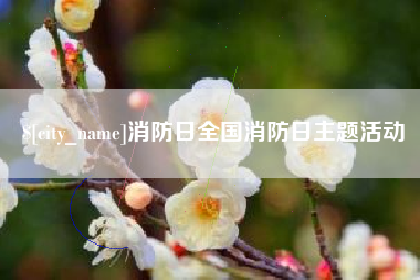 桂阳消防日全国消防日主题活动
