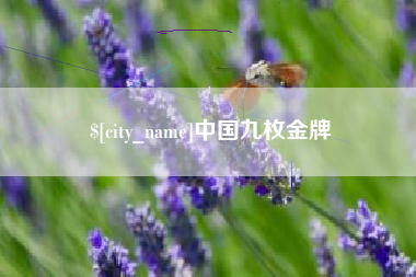 桂阳中国九枚金牌