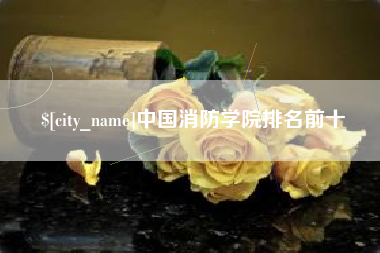 桂阳中国消防学院排名前十