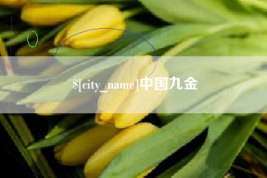 桂阳中国九金