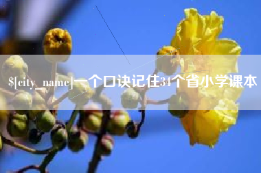 桂阳一个口诀记住34个省小学课本