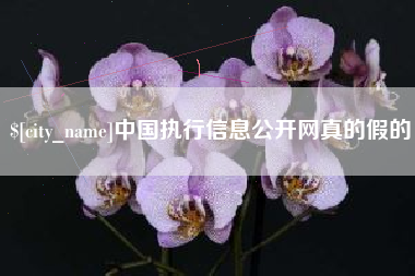 桂阳中国执行信息公开网真的假的