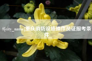桂阳重庆消防设施操作员证报考条件
