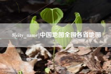 桂阳中国地图全图各省地图