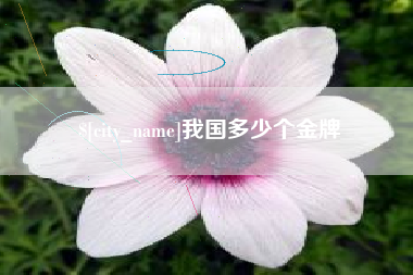 桂阳我国多少个金牌