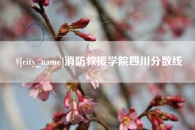桂阳消防救援学院四川分数线