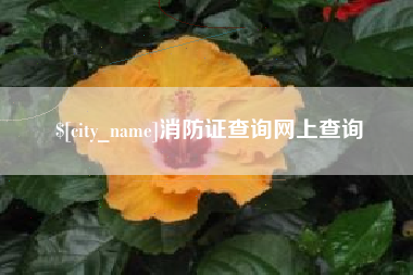 桂阳消防证查询网上查询