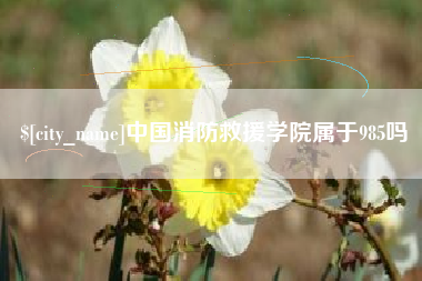 桂阳中国消防救援学院属于985吗