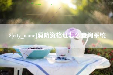 桂阳消防资格证怎么查询系统