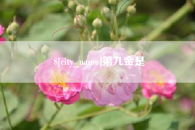 桂阳第九金是