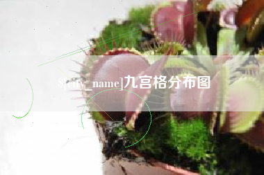 桂阳九宫格分布图
