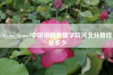 桂阳中国消防救援学院河北分数线是多少
