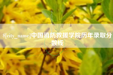 桂阳中国消防救援学院历年录取分数线