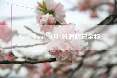桂阳11月9日消防日全称