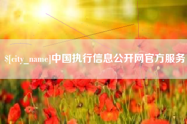 桂阳中国执行信息公开网官方服务