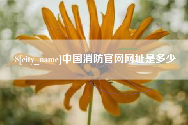 桂阳中国消防官网网址是多少