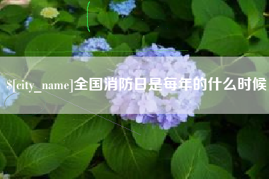 桂阳全国消防日是每年的什么时候