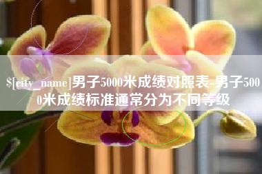桂阳男子5000米成绩对照表-男子5000米成绩标准通常分为不同等级