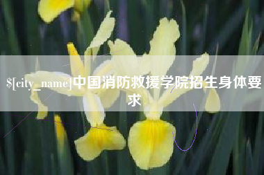 桂阳中国消防救援学院招生身体要求