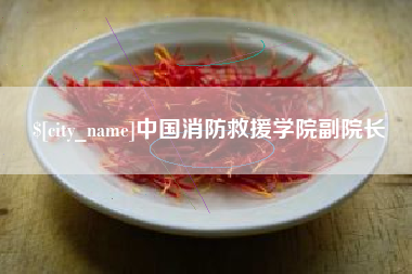 桂阳中国消防救援学院副院长