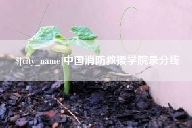 桂阳中国消防救援学院录分线