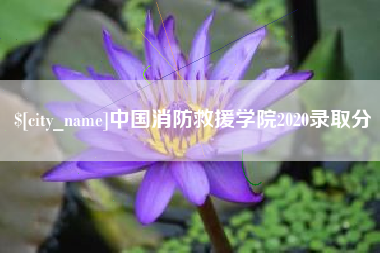 桂阳中国消防救援学院2020录取分