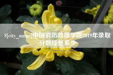 桂阳中国消防救援学院2019年录取分数线是多少
