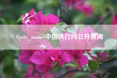桂阳中国执行网公开查询