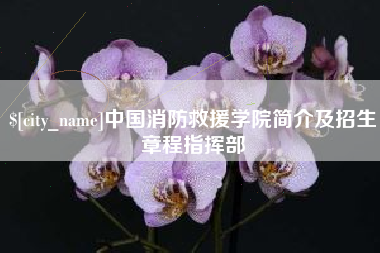 桂阳中国消防救援学院简介及招生章程指挥部