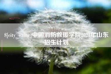 桂阳中国消防救援学院2021年山东招生计划