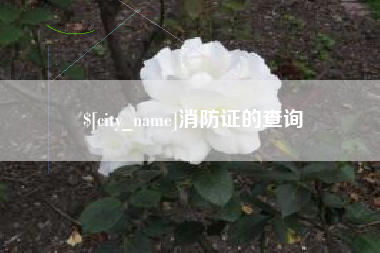 桂阳消防证的查询