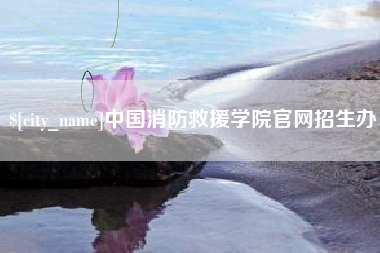 桂阳中国消防救援学院官网招生办