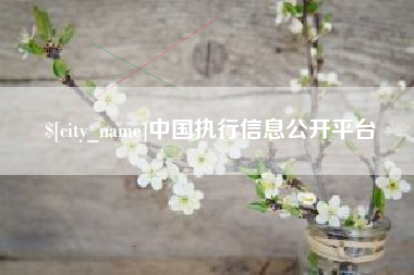 桂阳中国执行信息公开平台