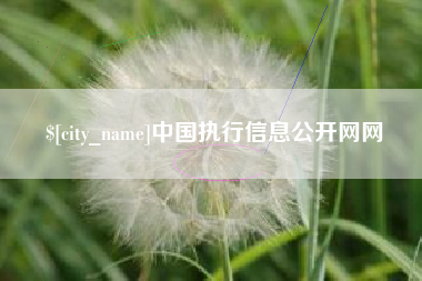 桂阳中国执行信息公开网网
