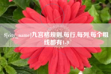 桂阳九宫格规则,每行,每列,每个粗线都有1-9