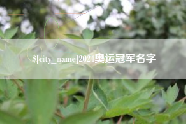桂阳2024奥运冠军名字
