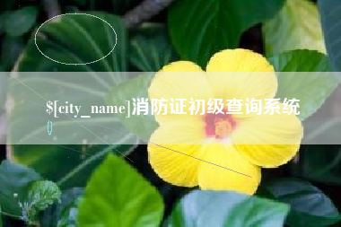 桂阳消防证初级查询系统
