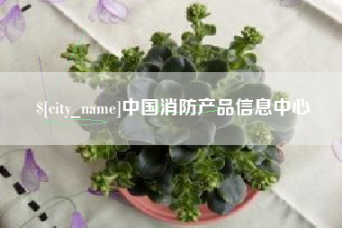 桂阳中国消防产品信息中心