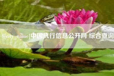 桂阳中国执行信息公开网 综合查询