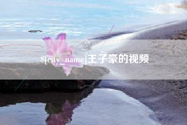 桂阳王子豪的视频