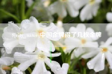 桂阳中国金牌得了几枚金牌