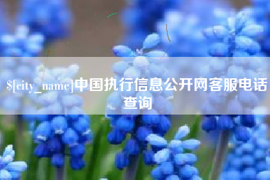 桂阳中国执行信息公开网客服电话查询