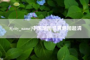 桂阳中国地图世界地图超清