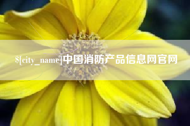 桂阳中国消防产品信息网官网