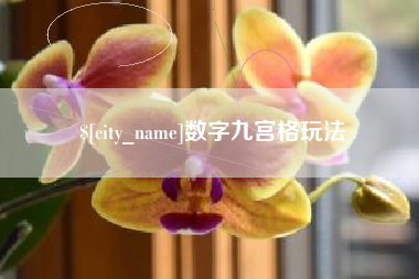 桂阳数字九宫格玩法