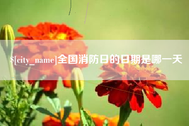 桂阳全国消防日的日期是哪一天